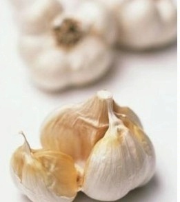 順旺農產品 優質大蒜供應商，來電訂購享優惠